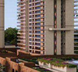 Conscient Elevate Reserve