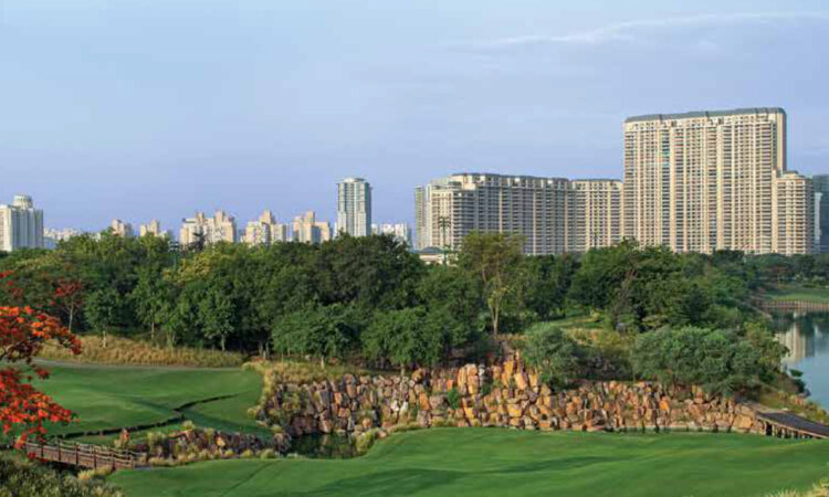 DLF The Camellias